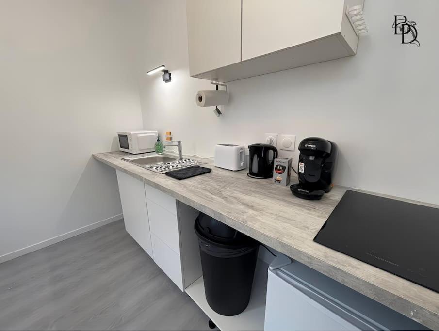 T1 Bis Appartement B3 30M2 Cosy 7Min A Pieds Des Gares Roanne Esterno foto